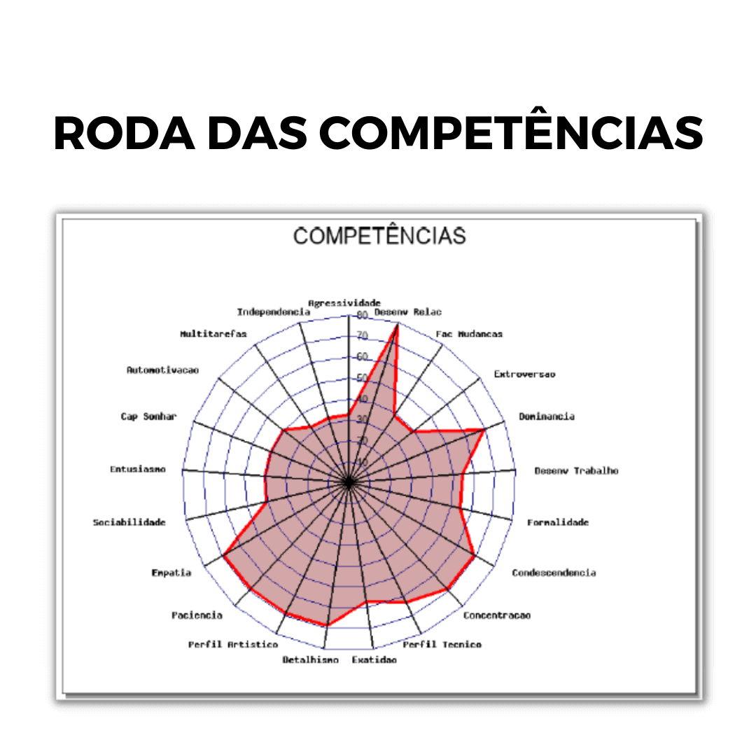 Imers O Mapa De Perfil Comportamental Trilha Do Ser