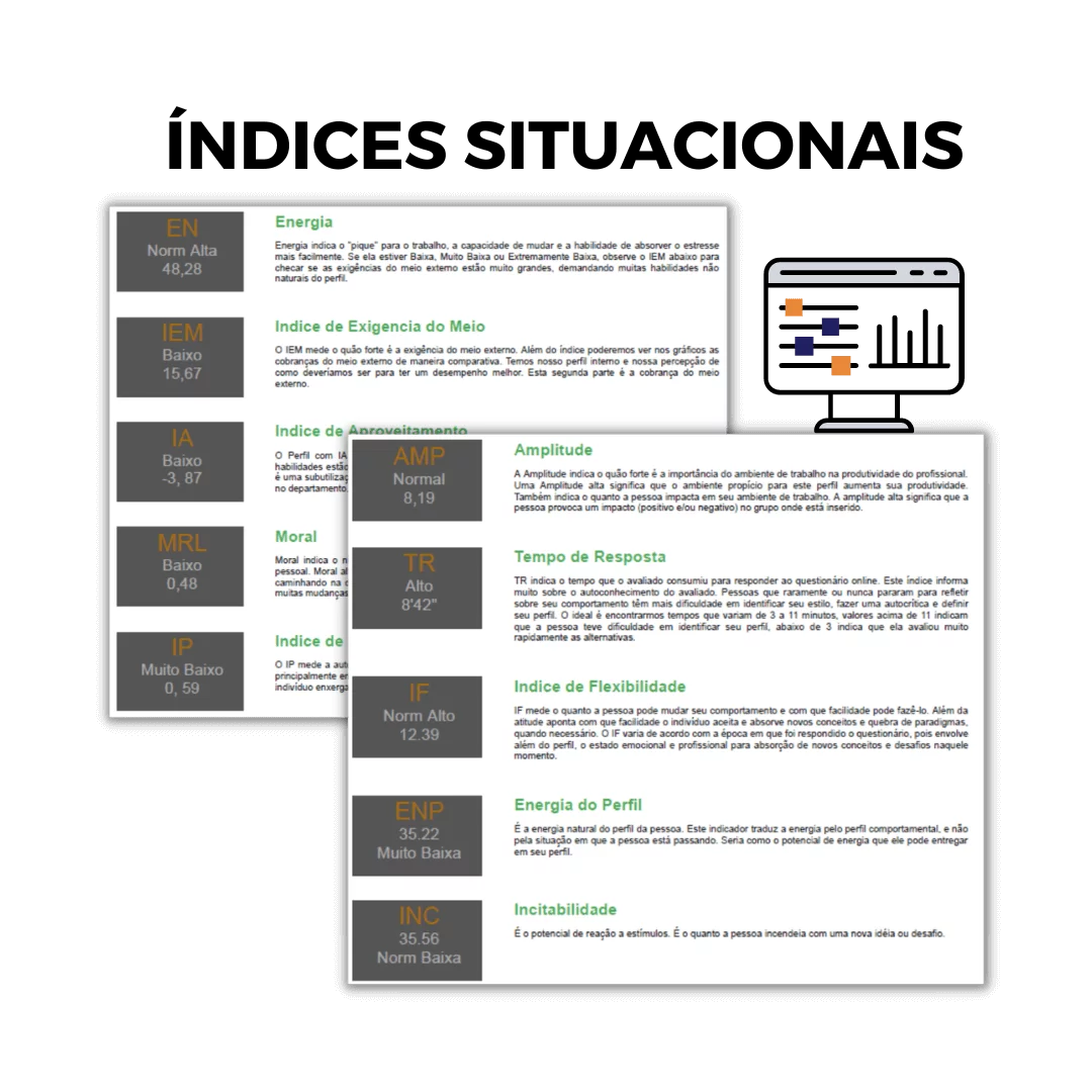 Mapeamento do Perfil Comportamental com Sessão Devolutiva - Imagem 8