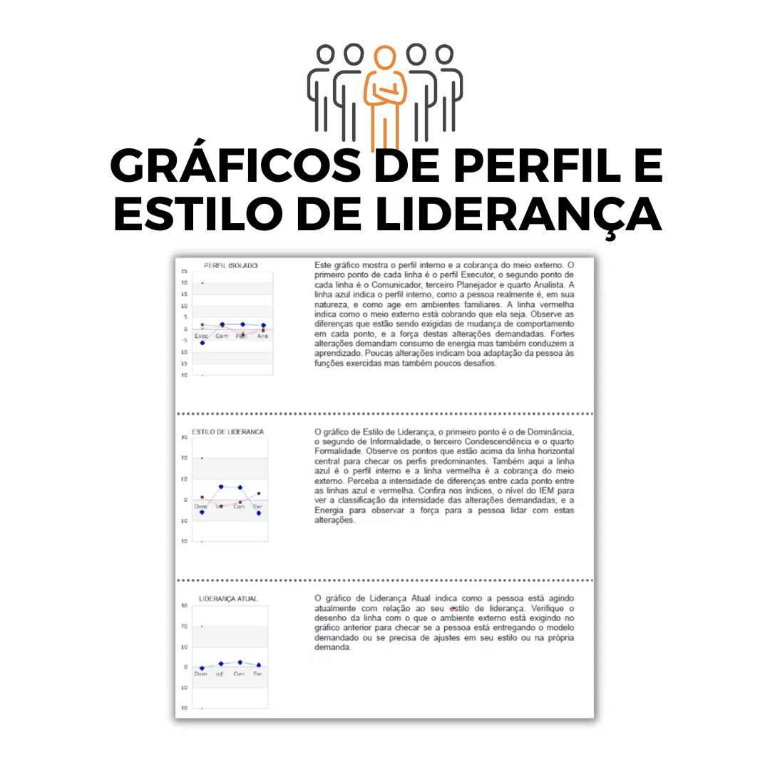 Mapeamento do Perfil Comportamental com Sessão Devolutiva - Imagem 6