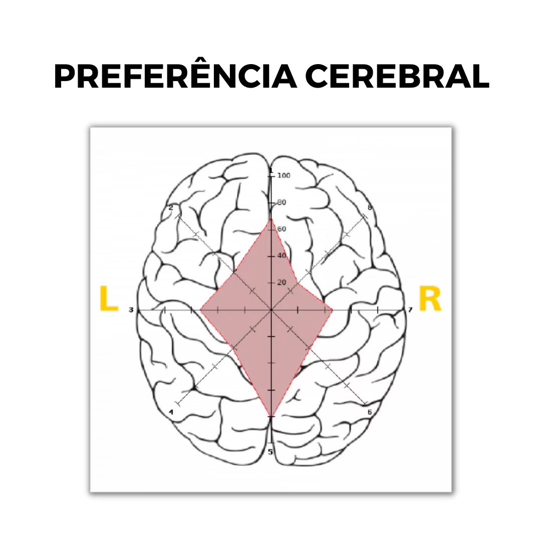 Mapeamento do Perfil Comportamental com Sessão Devolutiva - Imagem 4