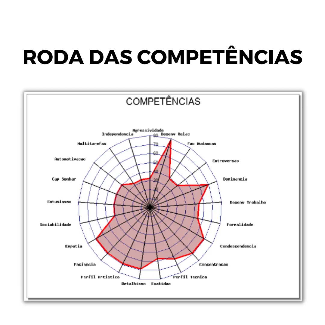 Mapeamento do Perfil Comportamental com Sessão Devolutiva - Imagem 3