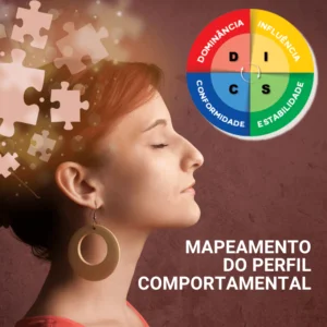 Mapeamento do Perfil Comportamental - relatório